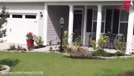 یک تمساح روی 2 پا ایستاد زنگ خانه را زد + فیلم باورنکردنی