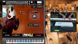 وی اس تی ویولن سل Cinesamples Tina Guo Acoustic Cello Legato