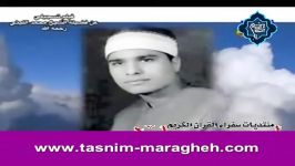 محمد لیثی  یادی محمد محمد ابوالعلا به مناسبت وفاتش