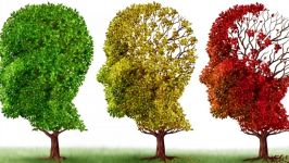 ۱۱ تا علائم آلزایمر بیماری آلزایمر چیست نشانه‌های آلزایمر چه می‌دانید