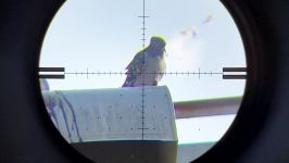شکار پرندگان تفنگ بادی ادگان ماتادور هدف کنترل آفات 2