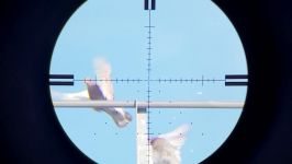 شکار پرندگان تفنگ بادی ادگان ماتادور هدف کنترل آفات 8