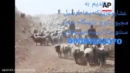 بیاد سیل زدگان