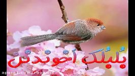 نوای محلی رودبار جنوب بلبلک اخوندنن