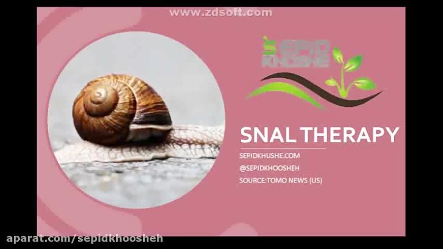 حلزون تراپی Snail Therapy