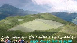 تنها کاری سید مجید اخباری