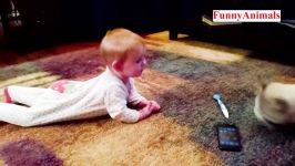 سگ گربه ❤Cute baby and cat❤ Cats playing fun together with a baby❤ Cat not