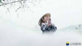 在雪山下一大锅面条，吃起来真爽（In the snowy mountain a big pot of noodles it’s ）