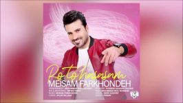 Meisam Farkhondeh  Ro To Hasasam 2019 آهنگ جدید میثم فرخنده  رو تو حساسم