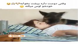 کلیپ خنده دار وقتی دوست داره پیشت بخوابه خودشو لوس میکنه