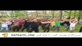 کلیپ خنده دار بزرگترین رقص دسته جمعی در ایران