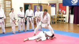 پاول هربرت Shotokan  مسدود کردن مرکز خط