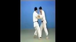 Ushiro Goshi  65 Throws of Kodokan Judo