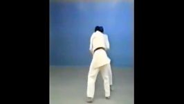 Hikikomi Gaeshi  65 Throws of Kodokan Judo