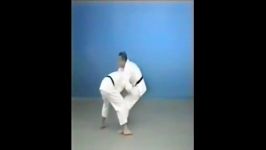 Tawara Gaeshi  65 Throws of Kodokan Judo