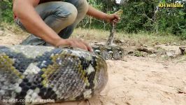 طرز ساخت تله مار غول پیکر 1  Gigantic snake Trap  هدیه ویژه کانال عیدالزهرا HD