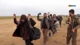 تسلیم شدن داعشی ها به کردها در روستای الباغوز
