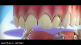 ونیر  کلینیک دندانپزشکی تاج