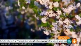 سی هشتمین جلسه اعضای ستاد مرکزی هماهنگی خدمات سفر