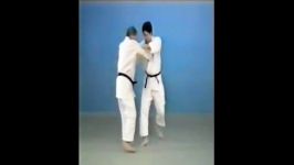 Yoko Wakare  65 Throws of Kodokan Judo