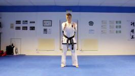 Taekwondo Side Kick Tutorial  GNT How to