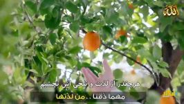 آهنگ ماهر زین در مورد بهشت زبان عربی زیر نویس فارسی