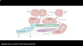 Indications out e of CRS+HIPEC for carcinomatosis