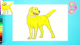 How to draw and color a Labrador Retriever  Learn to make dogs series