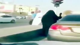 عاقبت رانندگی زنان در عربستان  گیس گیس کشی در پی یک تصادف