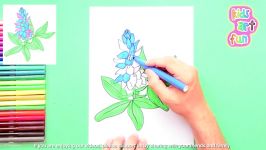 How to draw Bluebonnet  State Flower of Texas