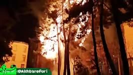 آتش گرفتن یک درخت در میرداماد بر اثر برخورد بالن آرزوها