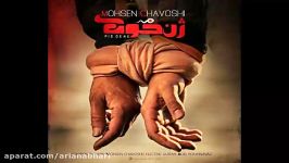 آهنگ جدید محسن چاوشی به نام حلالم کن