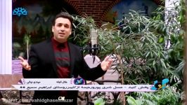 مهدی نهالی  حلال ائیله