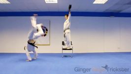 Martial Arts Tricking Sampler  Taekwondo Kicks Flips