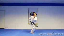 Taekwondo Pop 360 Round Kick Tutorial  GNT How to