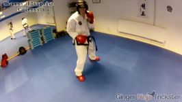 Taekwondo Sparring Session GNT Vs Sam Pupic  Ginger Ninja Trickster