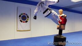 Taekwondo Kicking Training Sampler on the BOB XL