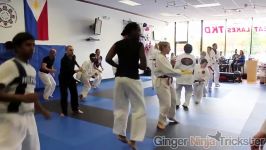 Taekwondo SeminarWorkshop in Michigan USA 