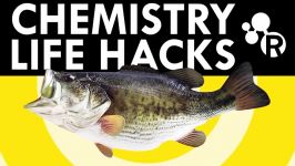 How To Make Fish Less Fishy Chemistry Life Hacks