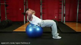 Exercise Ball Crunch