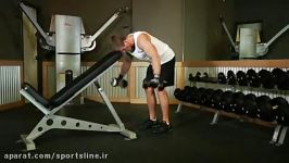 Bent Over Rear Delt Raise w  Head on Bench 2