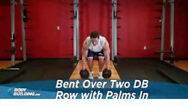 Bent Over Two Dumbbell Row With Palms In 3