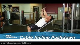 Cable Incline Pushdown