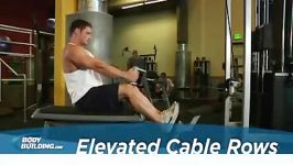 Elevated Cable Rows