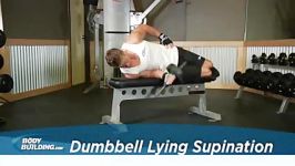 Dumbbell Lying Supination