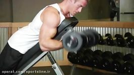 Dumbbell Prone Incline Curl