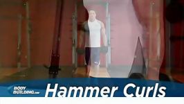 Hammer Curls 2