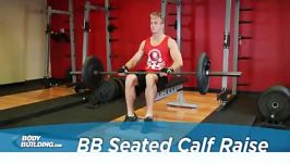 Barbell Seated Calf Raise