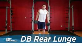 Dumbbell Rear Lunge