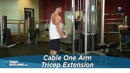 Cable One Arm Tricep Extension